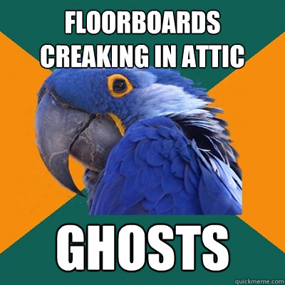 FLOORboards creaking in attic GHOSTS  Paranoid Parrot