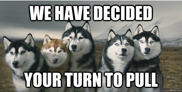 we have decided your turn to pull  - we have decided your turn to pull   wolfpack
