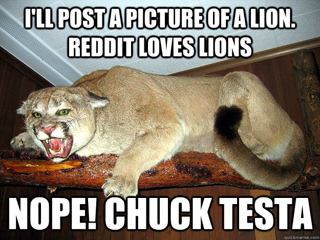 I'll post a picture of a lion.  Reddit loves lions  nope! CHUCK TESTA - I'll post a picture of a lion.  Reddit loves lions  nope! CHUCK TESTA  Nope. chuck testa.