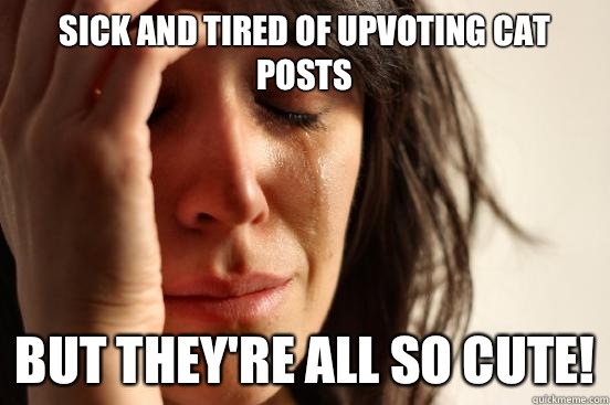 Sick and tired of upvoting cat posts But they're all so cute!  First World Problems