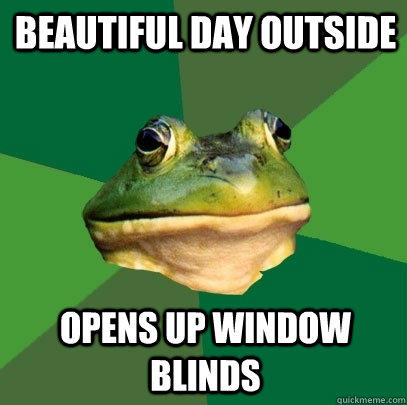 Beautiful day outside opens up window blinds  Foul Bachelor Frog