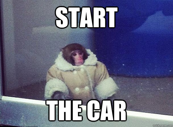 Start the car  