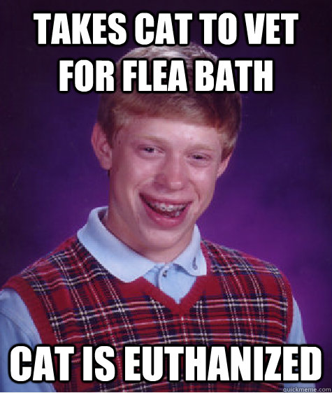 takes cat to vet for flea bath cat is euthanized  Bad Luck Brian