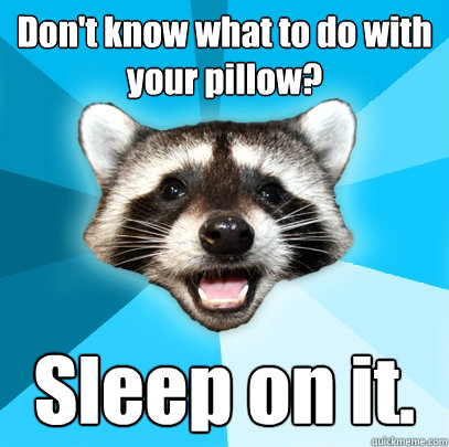 Don't know what to do with your pillow? Sleep on it.  Lame Pun Coon