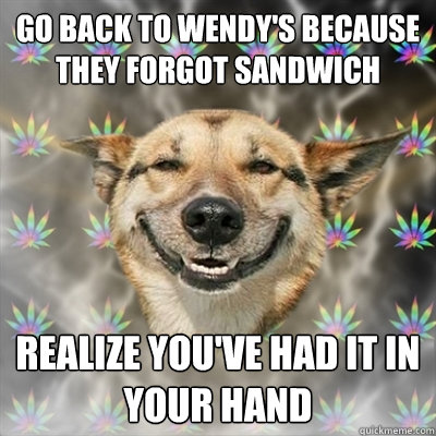 Go back to wendy's because they forgot sandwich Realize you've had it in your hand  Stoner Dog