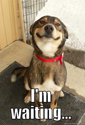  I'M WAITING... Good Dog Greg