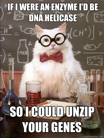 If I were an enzyme I'd be DNA Helicase

 So I could unzip your genes  Science Cat