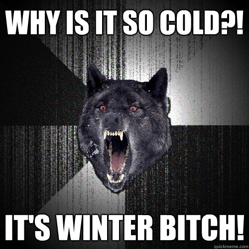 Why is it so cold?! It's winter bitch!  Insanity Wolf