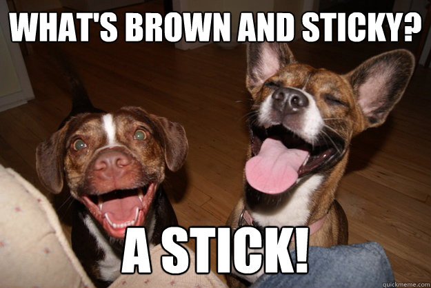 What's brown and sticky? A Stick!  Clean Joke Puppies