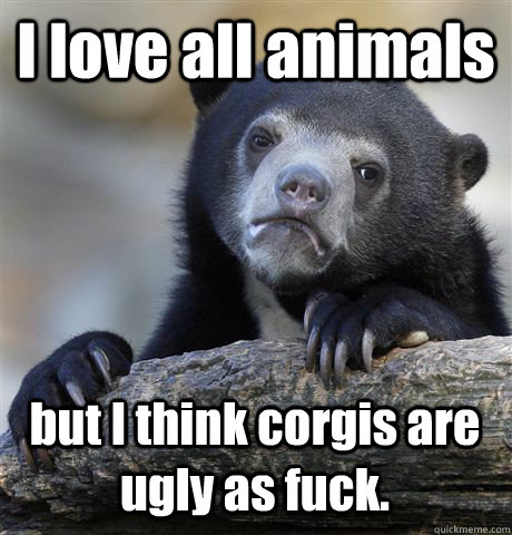 I love all animals but I think corgis are ugly as fuck.  Confession Bear