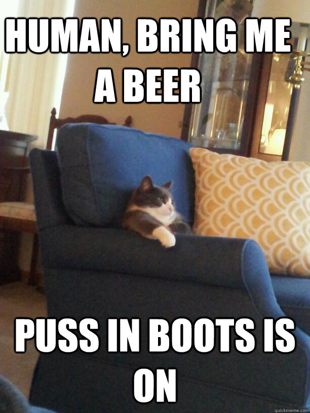 human, bring me a beer puss in boots is on - human, bring me a beer puss in boots is on  Apathetic TV Cat
