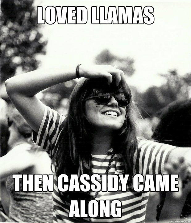 Loved Llamas Then Cassidy Came Along  Georgetown Hipster