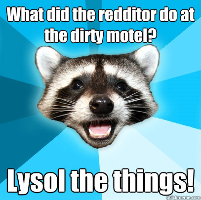 What did the redditor do at the dirty motel? Lysol the things!  Lame Pun Coon
