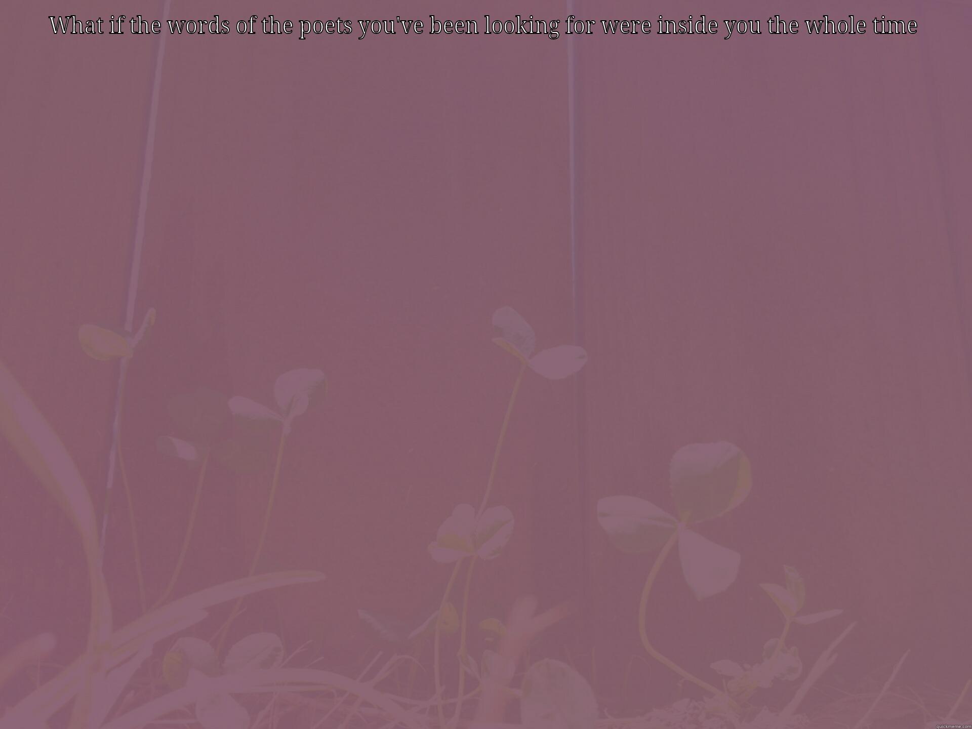 WHAT IF THE WORDS OF THE POETS YOU'VE BEEN LOOKING FOR WERE INSIDE YOU THE WHOLE TIME  Misc