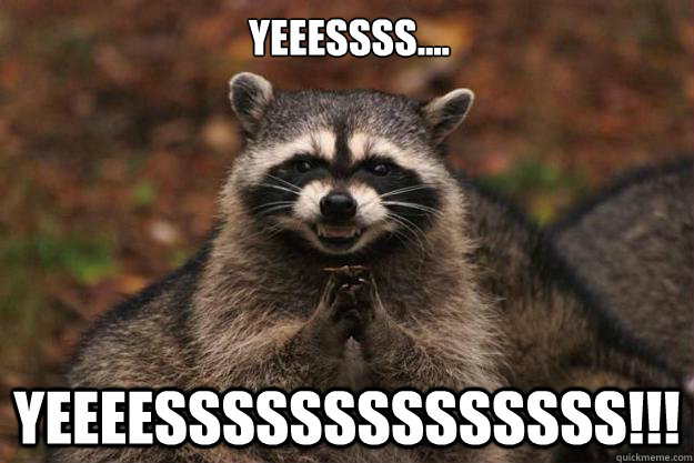 Yeeessss.... YEEEESSSSSSSSSSSSSS!!!  Evil Plotting Raccoon