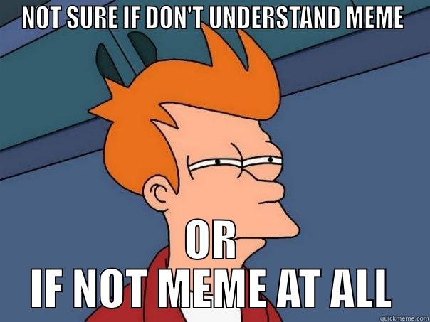 NOT SURE IF DON'T UNDERSTAND MEME OR IF NOT MEME AT ALL Futurama Fry