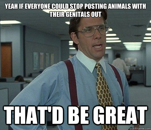 Yeah if everyone could stop posting animals with their genitals out That'd be great - Yeah if everyone could stop posting animals with their genitals out That'd be great  Lomberg