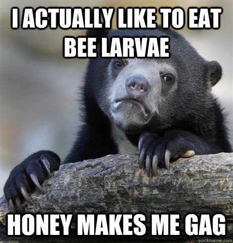 I actually like to eat bee larvae Honey makes me gag  Confession Bear