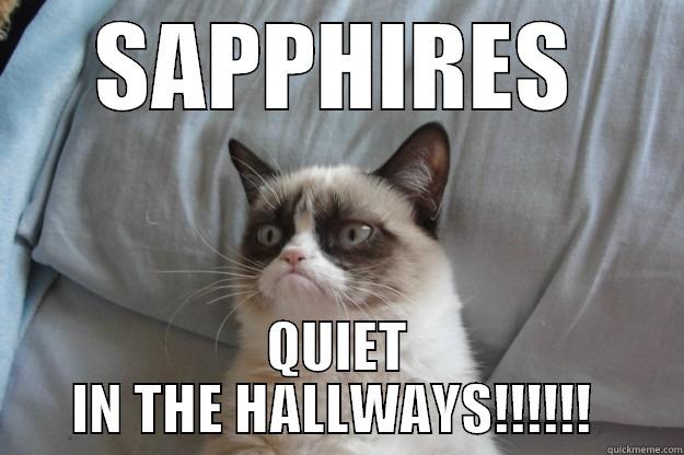 SAPPHIRES QUIET IN THE HALLWAYS!!!!!!  Grumpy Cat