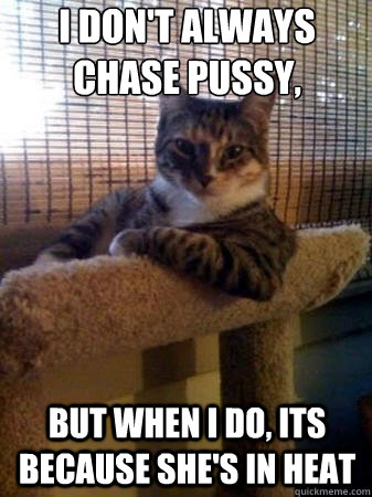 I don't always chase pussy, but when i do, its because she's in heat  The Most Interesting Cat in the World