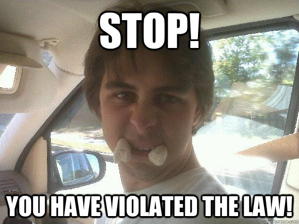 STOP! YOU HAVE VIOLATED THE LAW! - STOP! YOU HAVE VIOLATED THE LAW!  Over Zealous