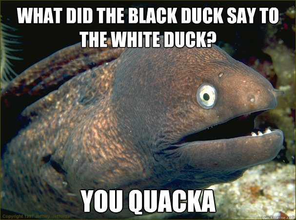 What did the black duck say to the white duck? you quacka  Bad Joke Eel