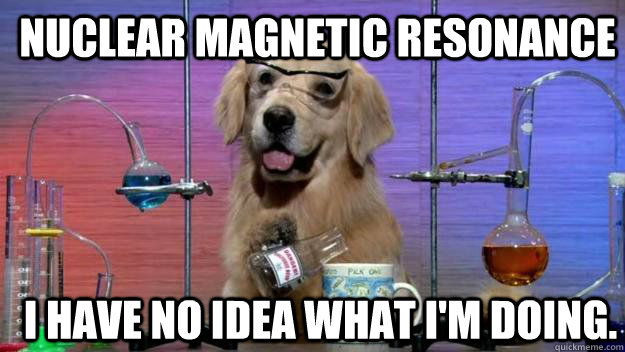 Nuclear magnetic resonance I have no idea what i'm doing. - Nuclear magnetic resonance I have no idea what i'm doing.  Chemistry Dog