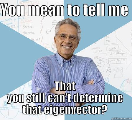 YOU MEAN TO TELL ME  THAT YOU STILL CAN'T DETERMINE THAT EIGENVECTOR? Engineering Professor