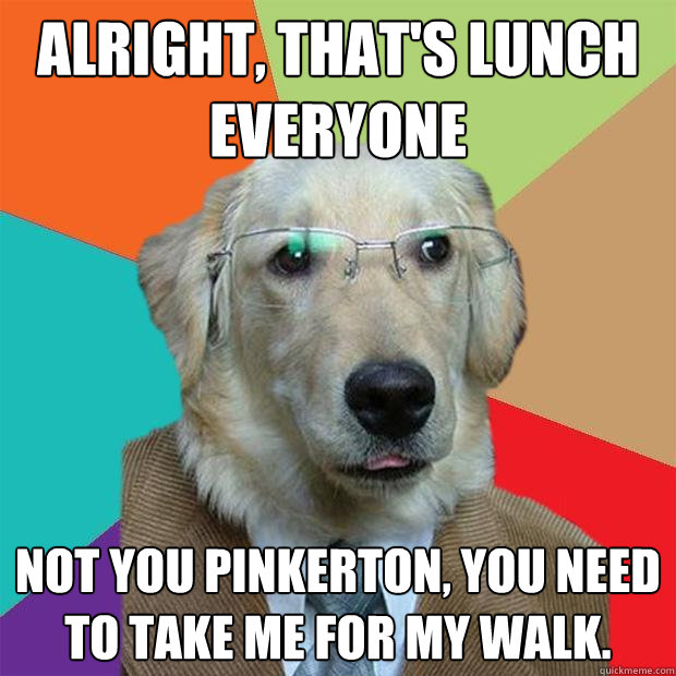 Alright, that's lunch everyone Not you pinkerton, you need to take me for my walk.  Business Dog