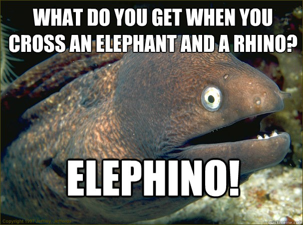What do you get when you cross an elephant and a rhino?
 Elephino!  Bad Joke Eel