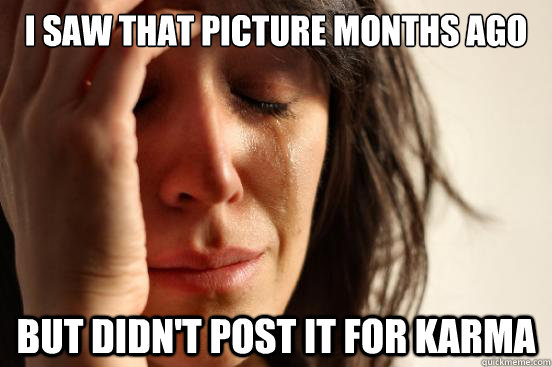I saw that picture months ago But didn't post it for karma  First World Problems