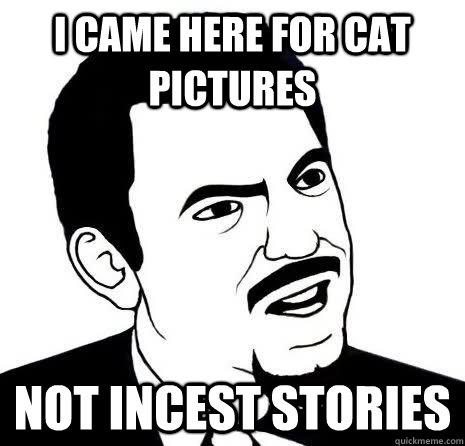 I came here for cat pictures Not incest stories - I came here for cat pictures Not incest stories  SeriouslyAre You Serious