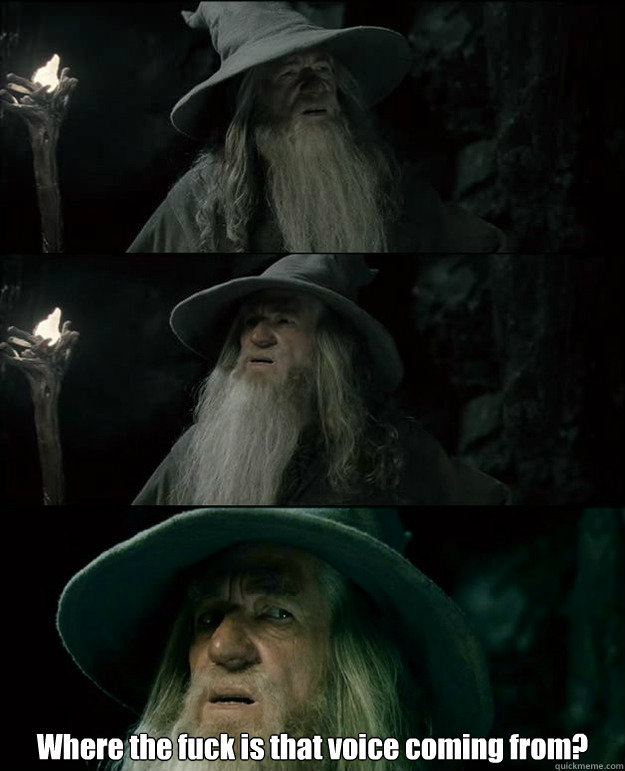  Where the fuck is that voice coming from? -  Where the fuck is that voice coming from?  Gandalf und das Spanischstudium