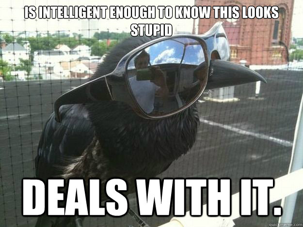 Is intelligent enough to know this looks stupid Deals with it. - Is intelligent enough to know this looks stupid Deals with it.  Misc
