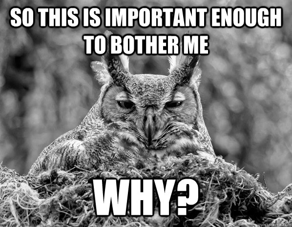 so this is important enough to bother me why?  Too wise for you owl