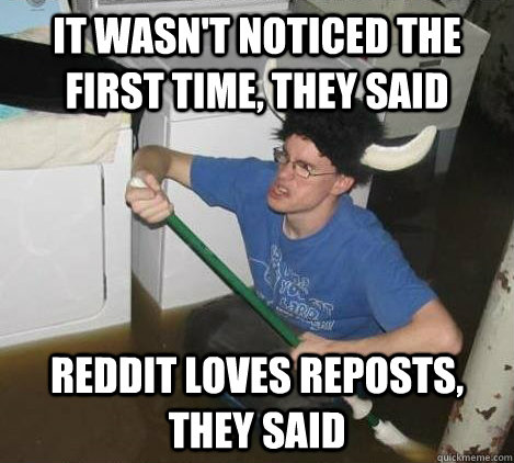 It wasn't noticed the first time, they said reddit loves reposts, they said  They said