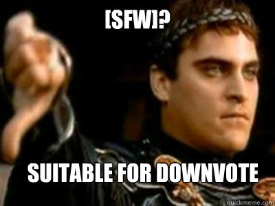 [SFW]? SUITABLE FOR DOWNVOTE  Downvoting Roman
