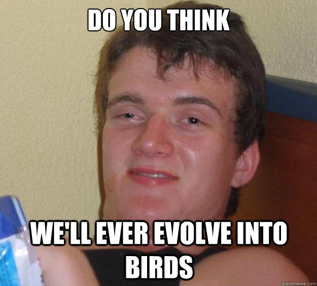 Do you think we'll ever evolve into birds  10 Guy