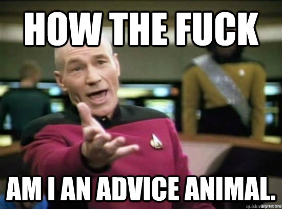 How the fuck am i an advice animal.  Annoyed Picard HD