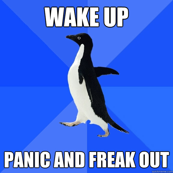 wake up panic and freak out  Socially Awkward Penguin