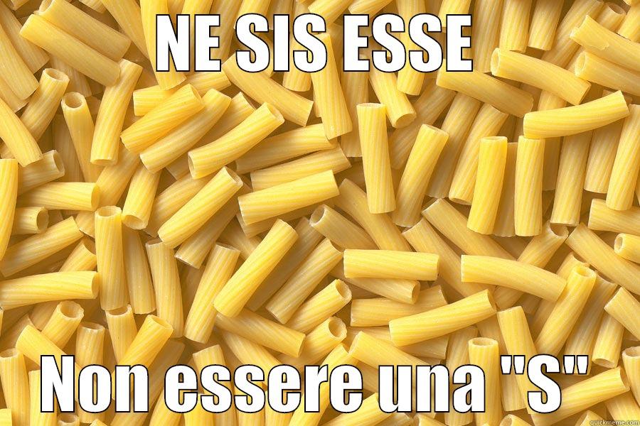 NE SIS ESSE NON ESSERE UNA 