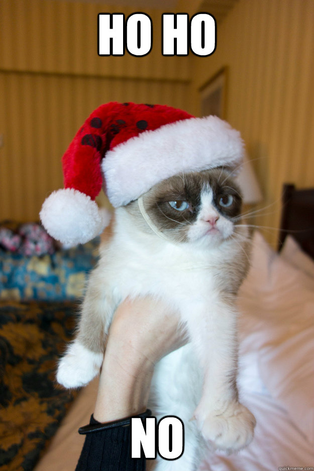 HO HO NO  Grumpy xmas