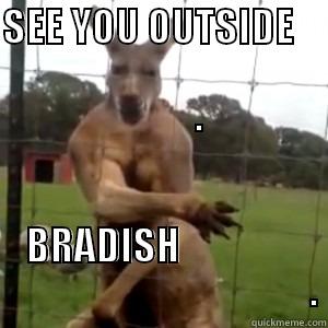 SEE YOU OUTSIDE                                                        . BRADISH                                                        . Misc