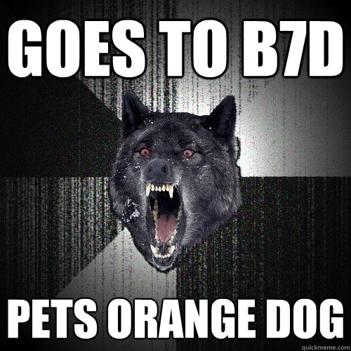GOES TO B7D PETS ORANGE DOG  Insanity Wolf