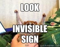 LOOK Invisible sign - LOOK Invisible sign  American Studies Slow Loris