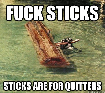 Fuck Sticks Sticks are for quitters - Fuck Sticks Sticks are for quitters  Pimp Dog