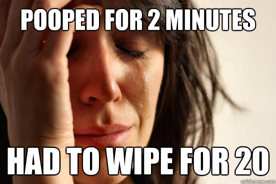 Pooped for 2 minutes Had to wipe for 20  First World Problems