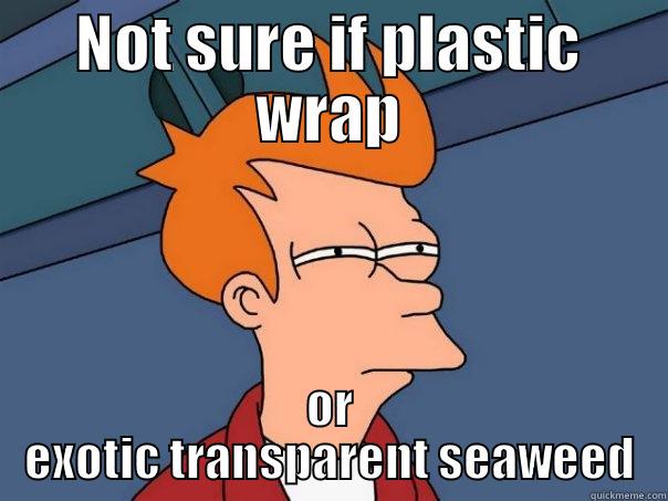 NOT SURE IF PLASTIC WRAP OR EXOTIC TRANSPARENT SEAWEED Futurama Fry
