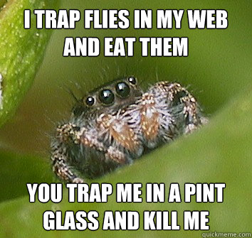 I trap flies in my web and eat them you trap me in a pint glass and kill me - I trap flies in my web and eat them you trap me in a pint glass and kill me  Misunderstood Spider