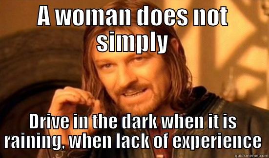 A WOMAN DOES NOT SIMPLY DRIVE IN THE DARK WHEN IT IS RAINING, WHEN LACK OF EXPERIENCE Boromir